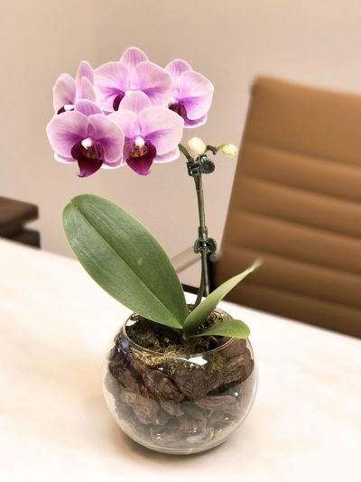 辦公室開幕花藝佈置